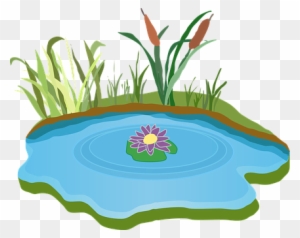 Cartoon Pond with Water Lily - Free Illustration for Nature Themes