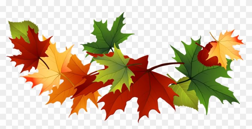 Vibrant autumn maple leaves in red, orange, yellow, and green arranged diagonally on transparent background.