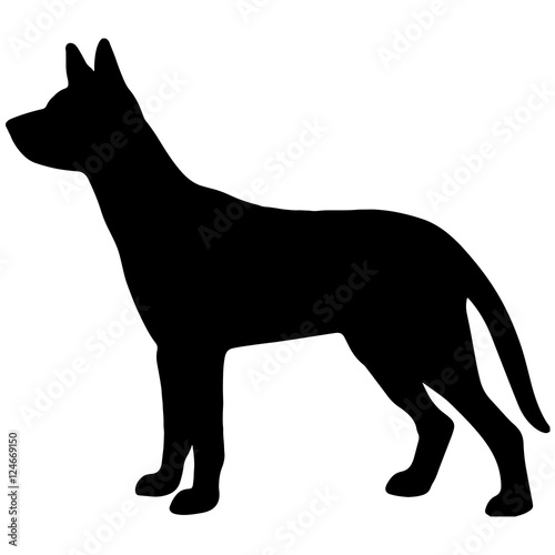 Black silhouette of a standing dog in profile, alert posture with pointed ears and tail extended.