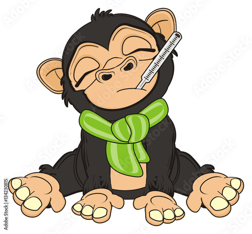 Sad Monkey Clipart Hd PNG, Sad Monkey Illustration Vector On White ...
