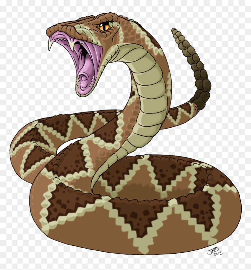 rattlesnakess - Clip Art Library