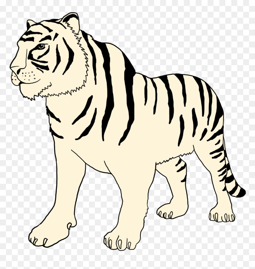Illustration of a white tiger with black stripes standing in profile view on transparent background.