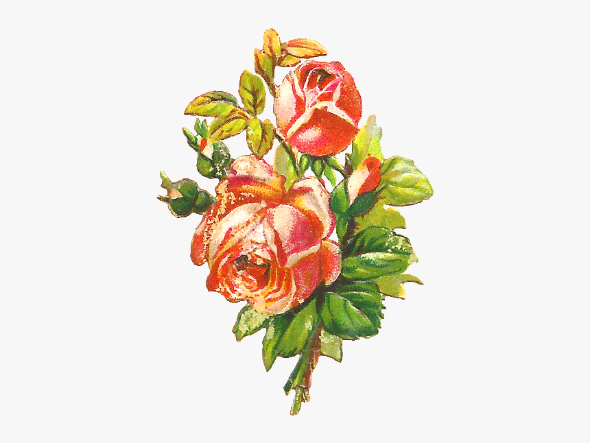 Vintage-style bouquet of red-and-cream roses with green leaves and buds, hand-painted illustration.