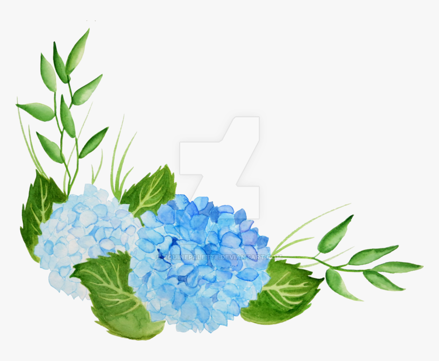 free hydrangea clipart