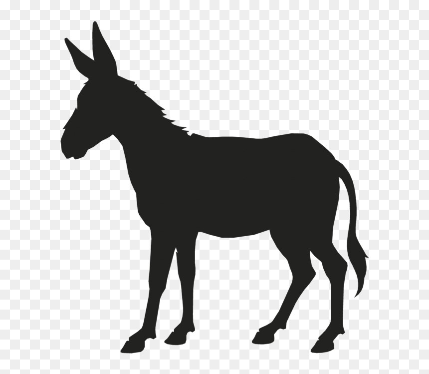 150+ Clip Art Of Funny Mule Illustrations, Royalty-Free Vector - Clip ...