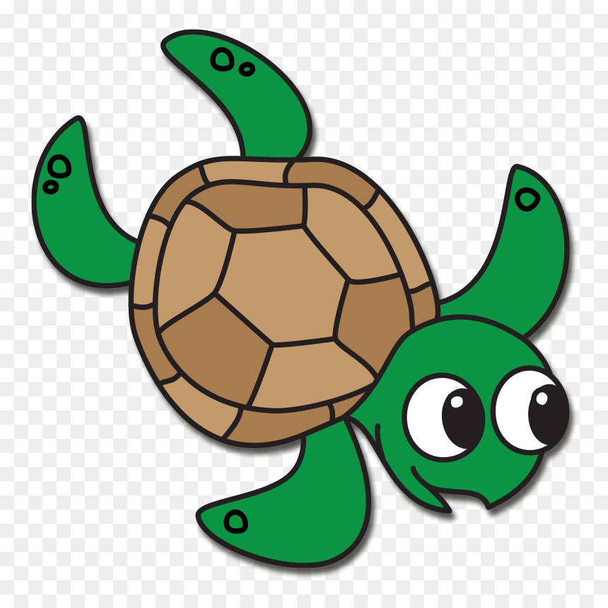 Clipart sea turtles - Colored turtles - Sea turtles - PNG - Digital ...