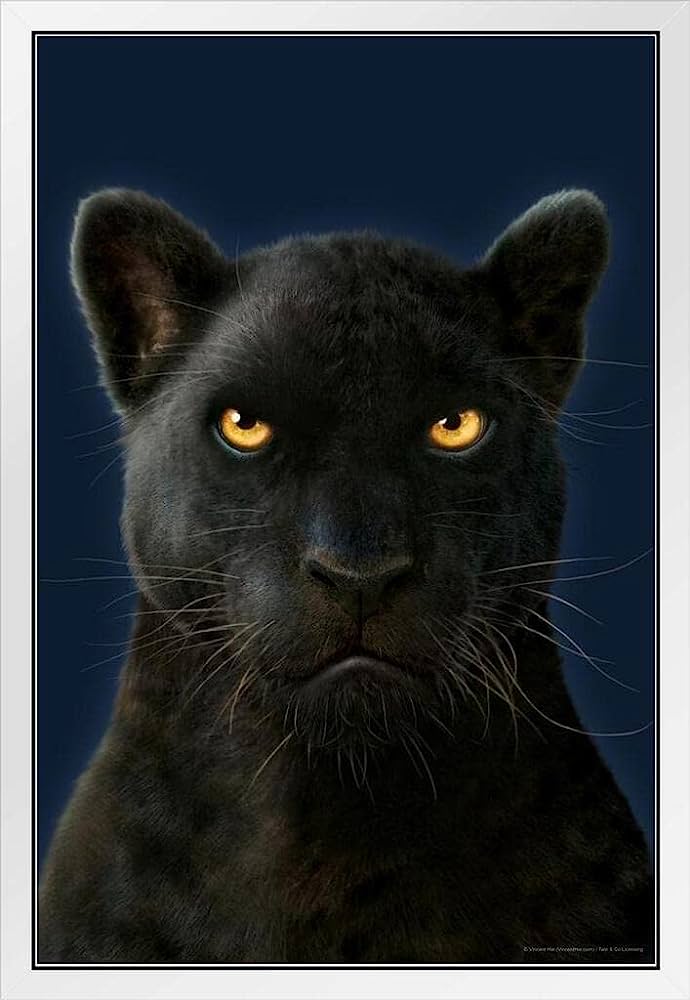 A close-up portrait of a black panther with piercing golden eyes against a deep blue background.