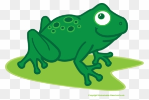 Cute Frog Illustration for Kids’ Educational Resources