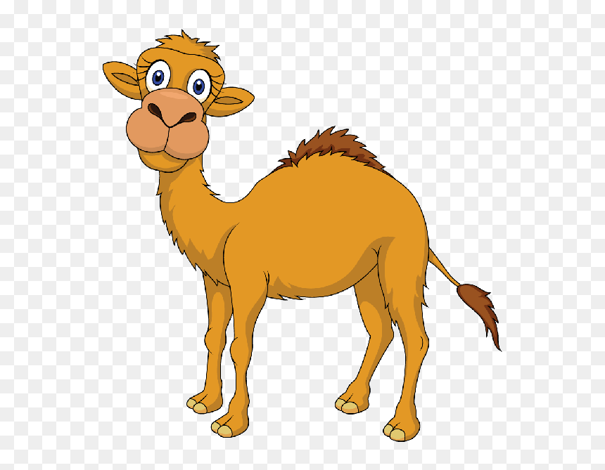 Friendly cartoon camel with large eyes, tan fur, and a small hump standing on transparent background.
