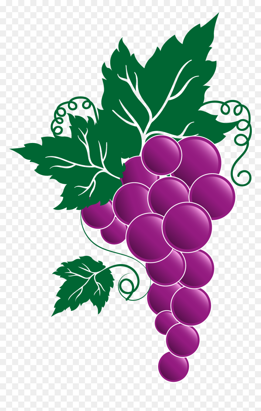A vibrant illustration of purple grapes with green leaves and tendrils on a transparent background.