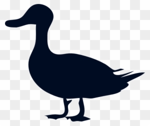 Silhouette of a standing duck in dark navy blue against transparent background.