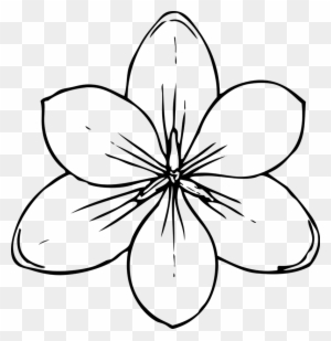 Black-and-white line drawing of a five-petaled flower with visible stamens and central pistil, stylized and symmetrical.