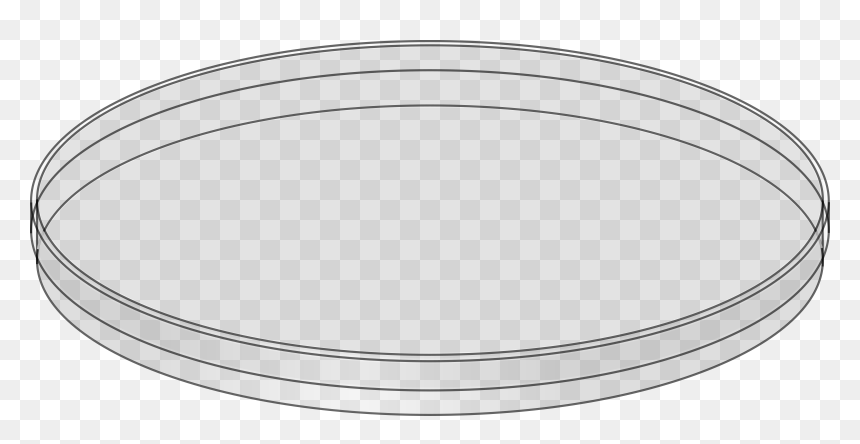 Petri Dish Illustration - Lab Equipment Clipart for Science & Education