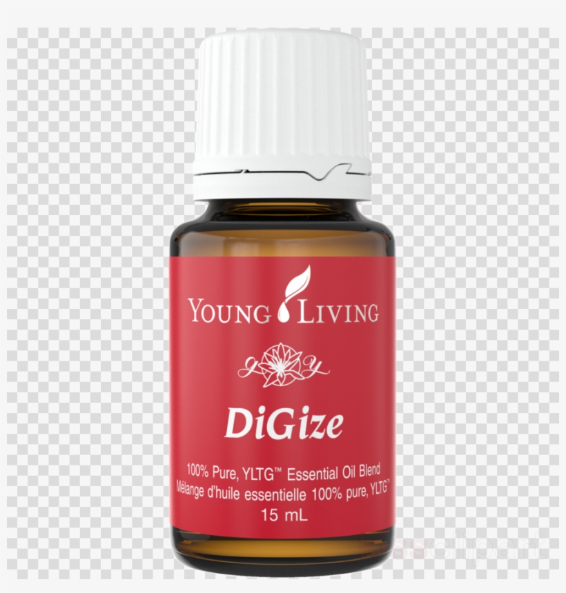 Young Living DiGize essential oil blend in amber bottle with red label and white cap, 15 mL.