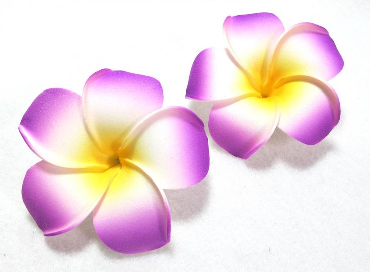 Purple & Yellow Plumeria Flowers - Tropical Beauty for Decor and Design