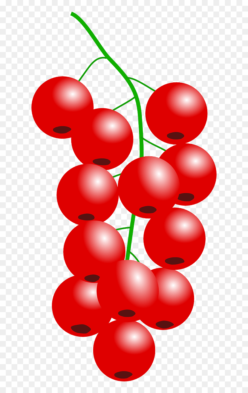 A cluster of glossy red currants on a green stem, illustrated with highlights and shadows against a transparent background.
