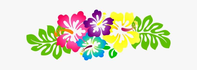 Vibrant tropical hibiscus flowers in pink, purple, yellow, and blue with green monstera-style leaves on a white background.