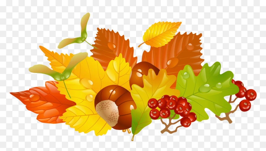 Autumn leaf arrangement with acorns, red berries, and maple seeds on transparent background