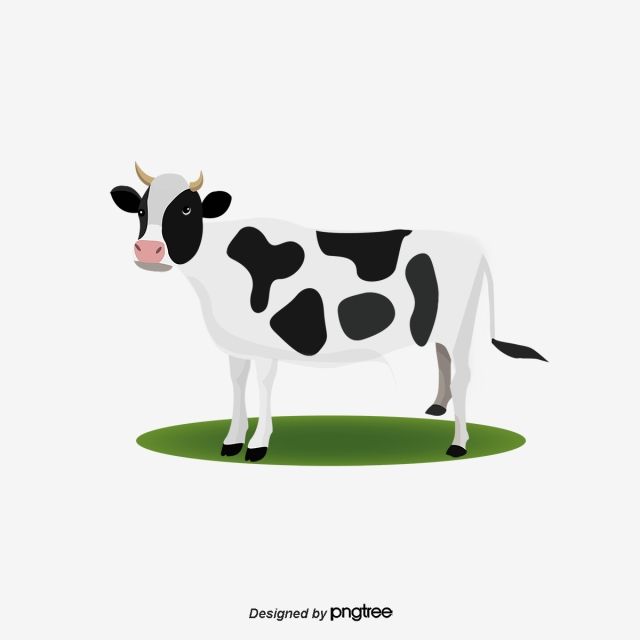Cute Cartoon Cow Illustration - Free PNG Download | PNGTree