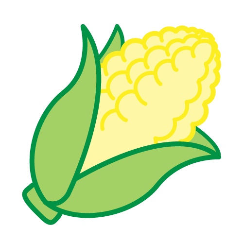 Fresh Corn on the Cob - Nutritious, Sweet, and Versatile