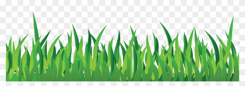 Green Grass Illustration - Free Transparent PNG for Web & Design