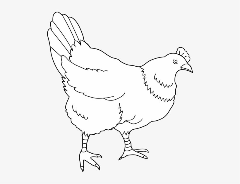 Hen Coloring Page - Free Printable Chicken Illustration for Kids & Artists