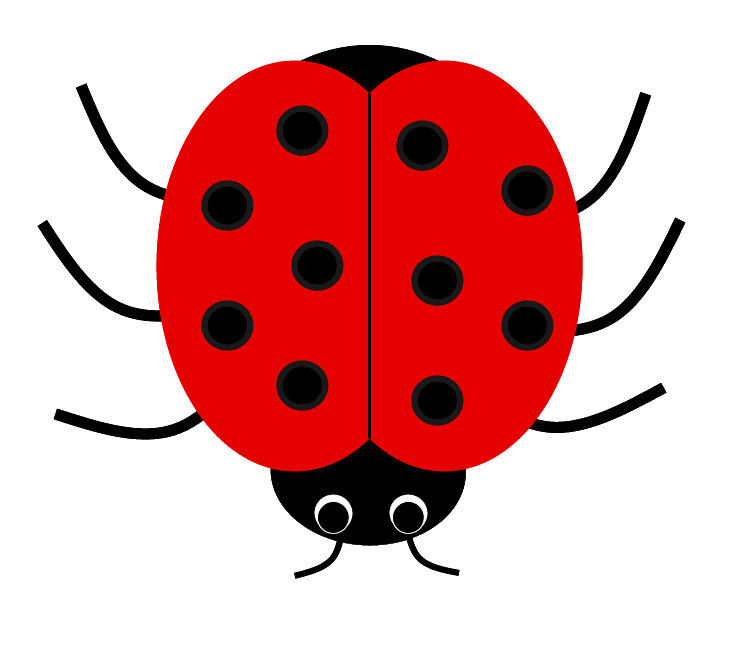 Ladybug PNG Clip Art​  Gallery Yopriceville - High-Quality Free