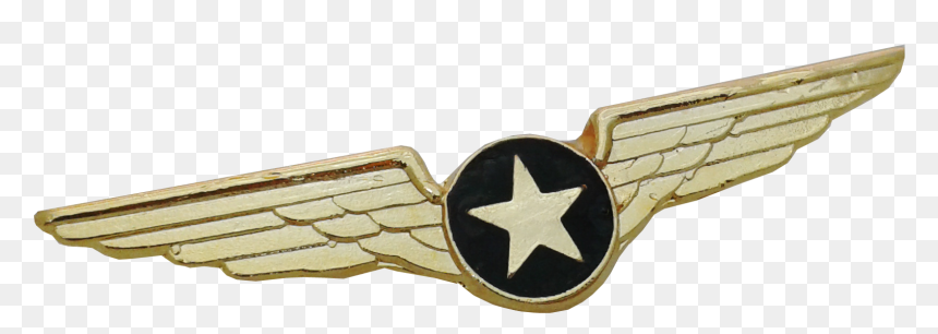 Two white and yellow winged emblems, Pilotwings 0506147919 Aviator ...