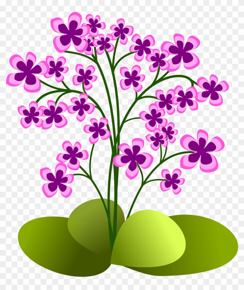 Vibrant purple-pink flower cluster with green stems and leaves on transparent background.