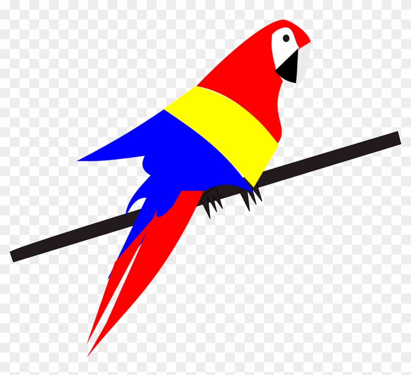 Colorful stylized parrot with red, yellow, and blue plumage perched on a black branch against transparent background.
