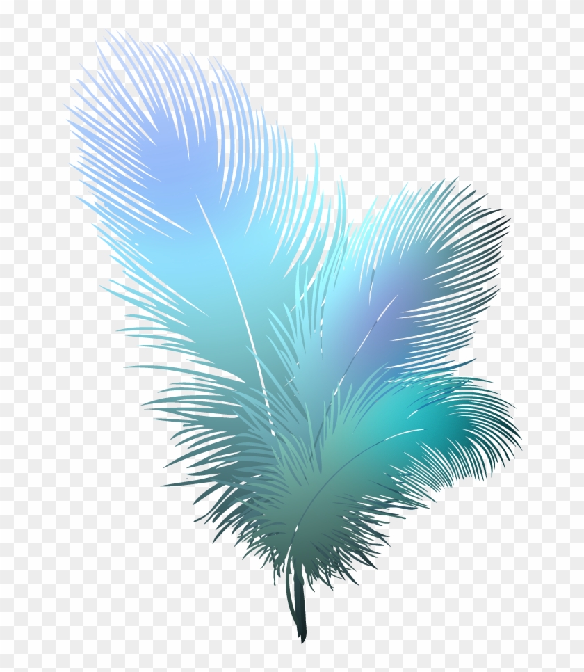 450+ Ostrich Feather Illustrations, Royalty-Free Vector Graphics - Clip ...