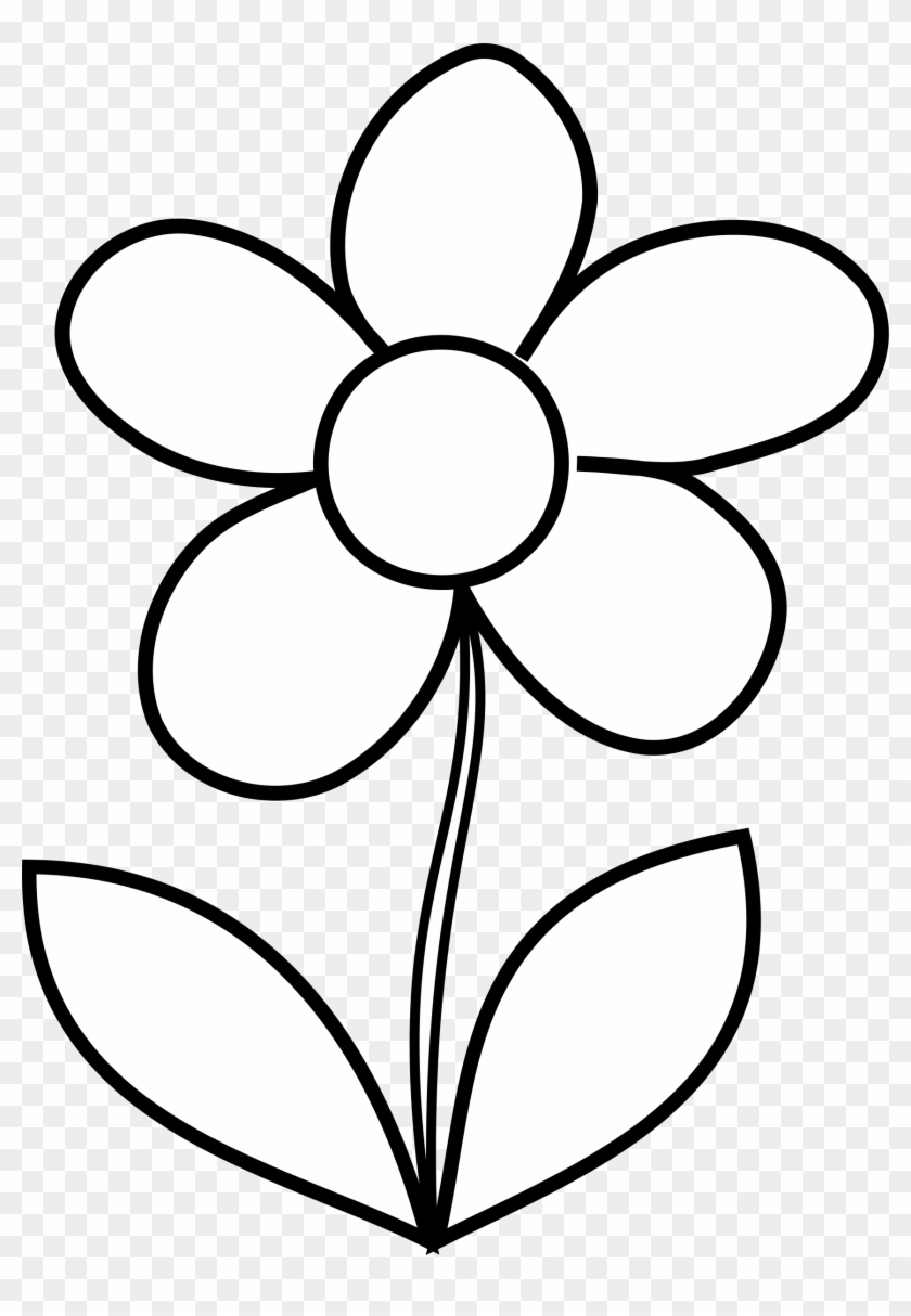Free Flower Line Art Clipart Simple Daisy Outline For Coloring 