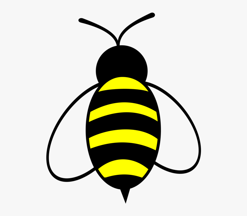 Bee Illustration - Free Clipart for Education, Design & Web Use