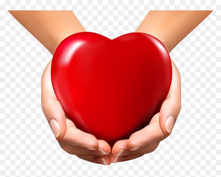 Two hands gently cradling a glossy red heart symbolizing love, care, or charity.