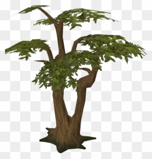 Stylized digital illustration of a lush green tree with a thick brown trunk and layered foliage on transparent background.