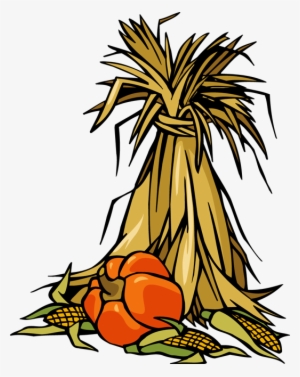 Autumn Harvest Illustration - Corn Stalk, Pumpkin & Ears of Corn