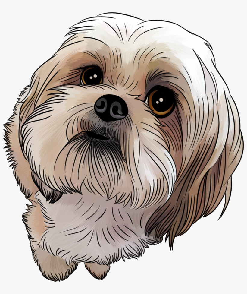 A detailed digital illustration of a fluffy white and tan Shih Tzu dog with expressive brown eyes and a black nose, looking upward.