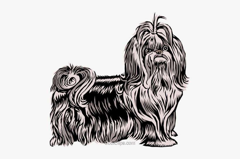 Black-and-white stylized illustration of a Shih Tzu dog with long flowing fur and expressive eyes.