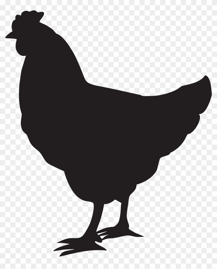 Download Chicken Transparent HQ PNG Image