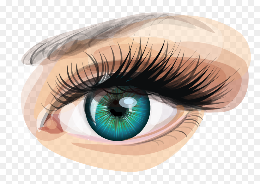 Realistic Human Eye Illustration - High-Quality Digital Art for Design & Medical Use