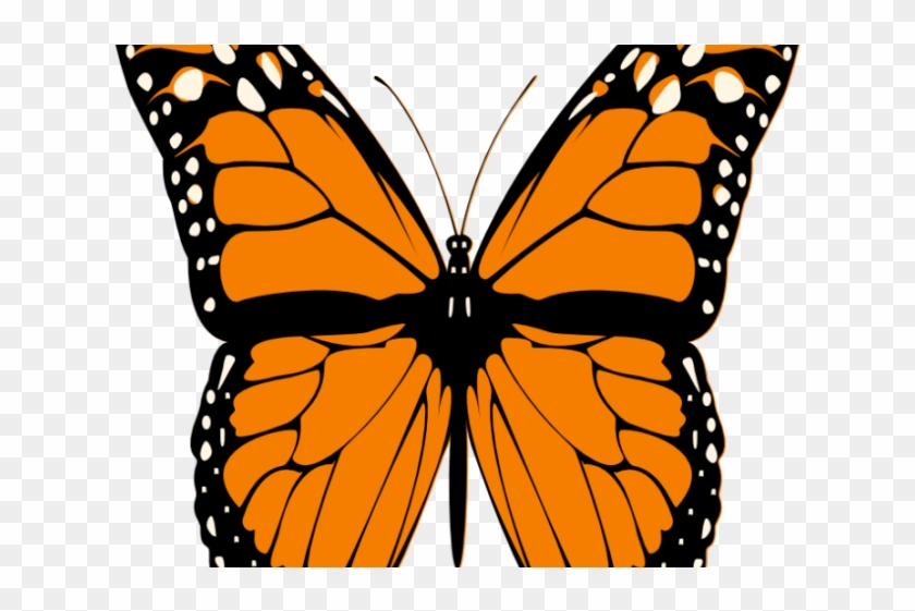 Vibrant orange and black monarch butterfly with white spots on wings, illustrated in stylized vector form.