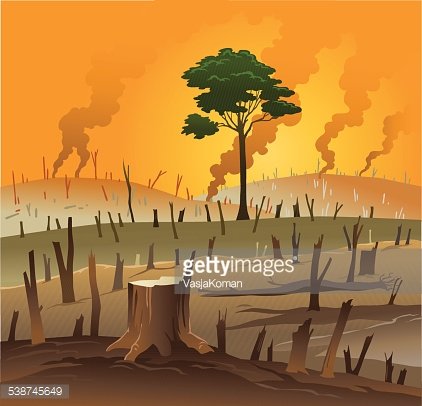A lone green tree stands amid a burnt, barren landscape with smoke rising under an orange sky, symbolizing environmental destruction.