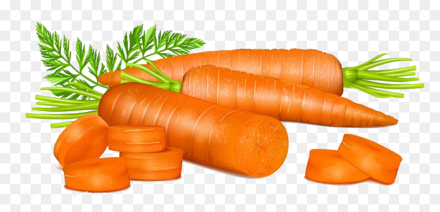 Carrots - Nutritious Orange Root Vegetables for Healthy Cooking