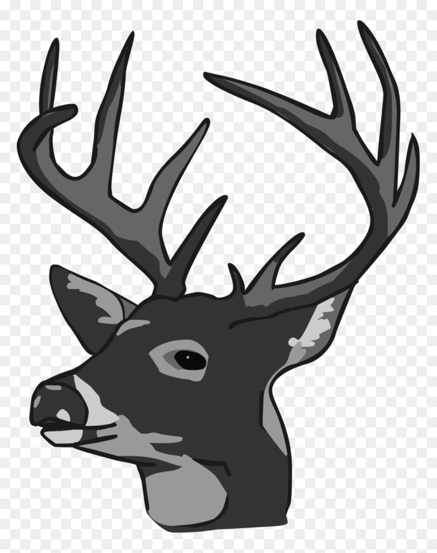 whitetail deers - Clip Art Library