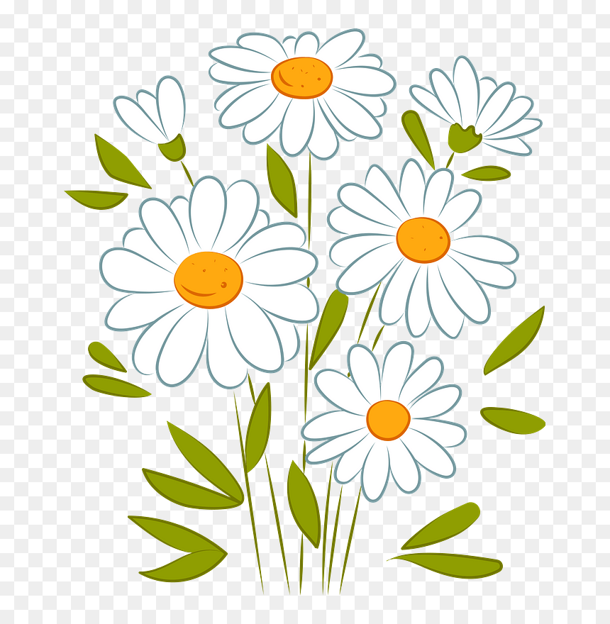 Free Daisy Flower Illustration Cute Smiling Daisies For Design 
