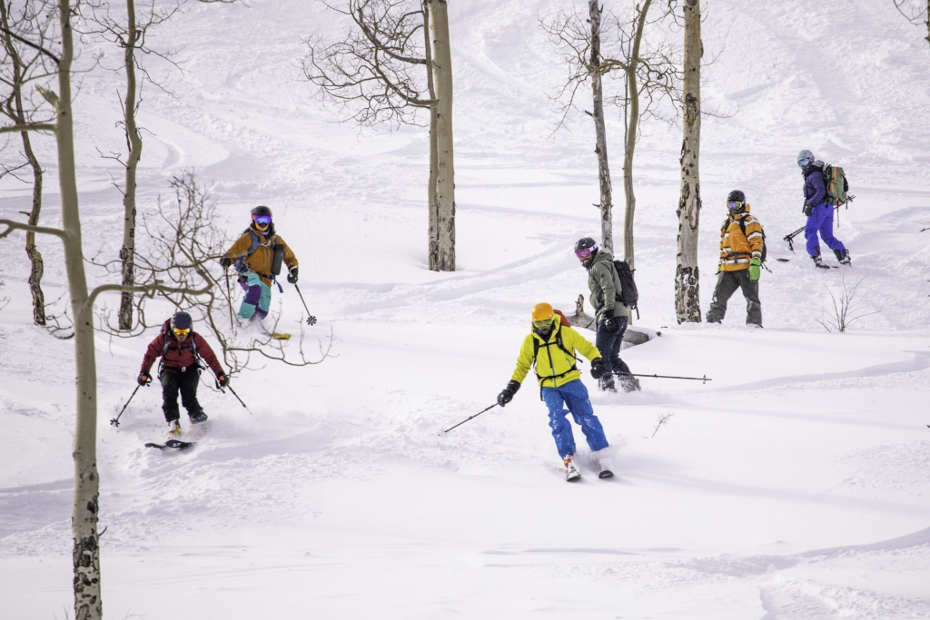 Six skiers in colorful gear descend a snowy slope among bare aspen trees on a bright winter day.