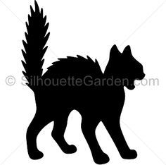 Black silhouette of a walking cat with a bushy, upright tail, viewed from the side.