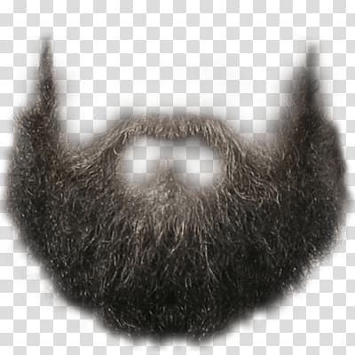 Realistic dark gray beard with mustache, transparent background, isolated PNG graphic.
