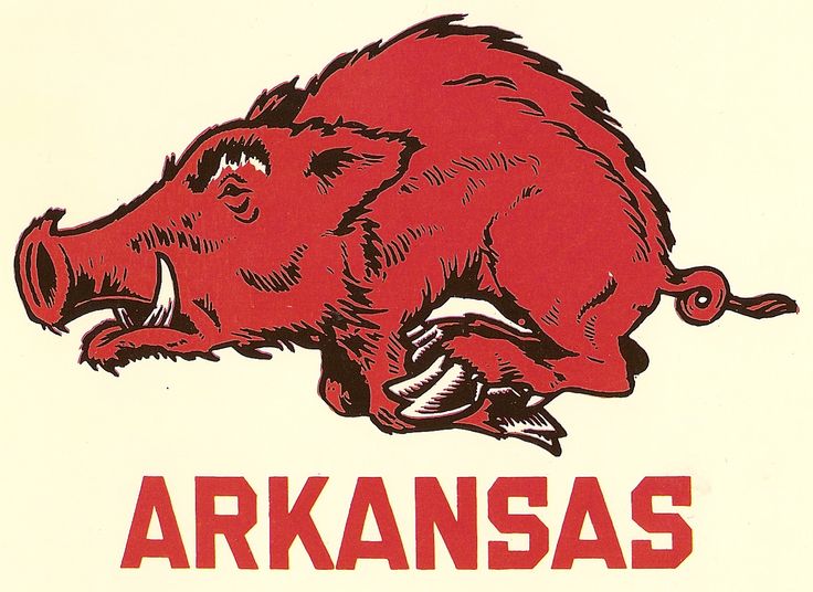 Arkansas Razorbacks Mascot Logo - Official Team Symbol