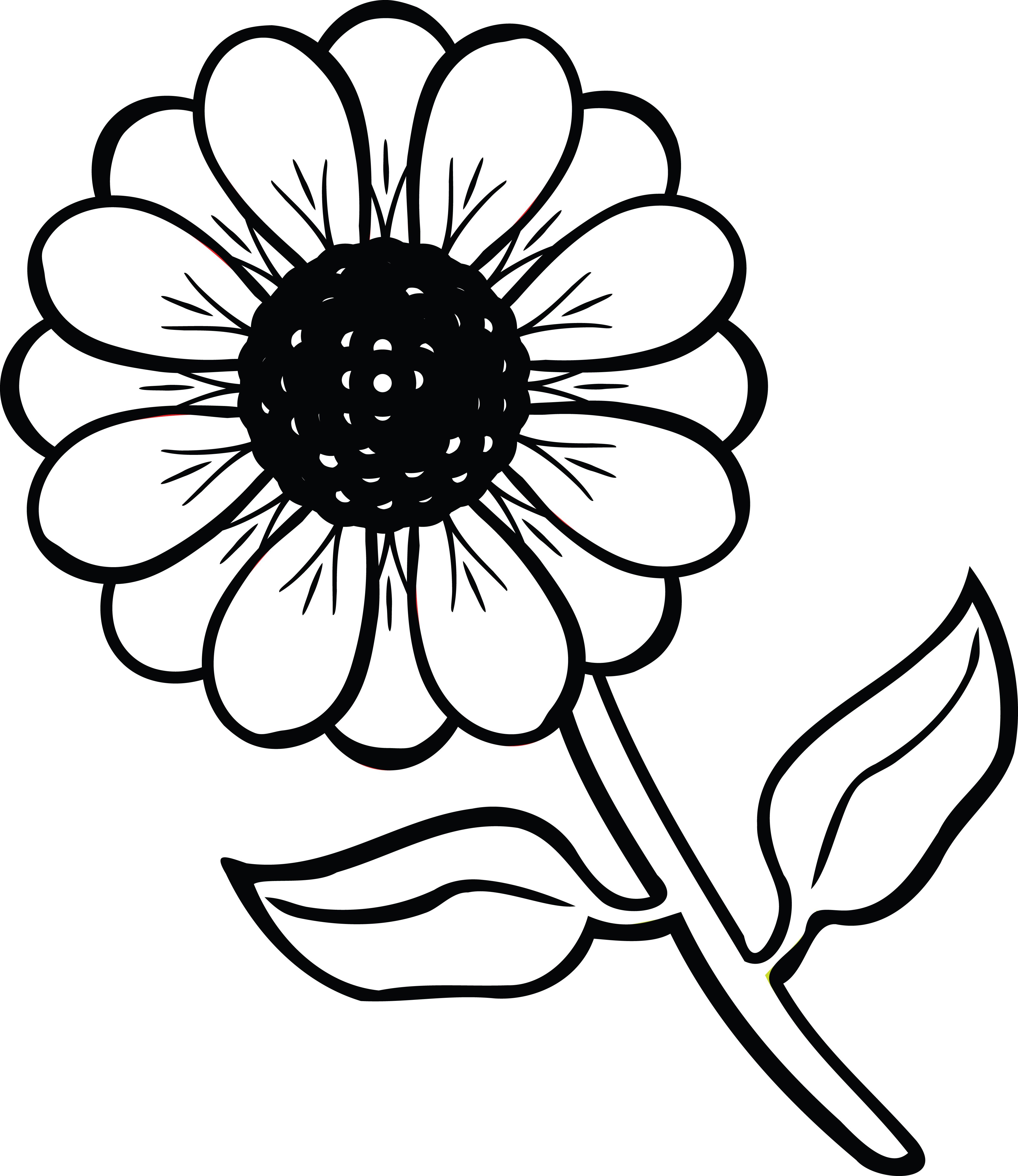 Flowers Black Clipart Hd PNG, Flower Clipart Black And White, Line ...
